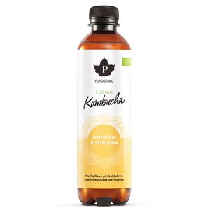 Kombucha BIO 370ml ginger lemon (Bio Kombucha zázvor-citrón)