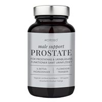 Male Support Prostate 120 kapslí